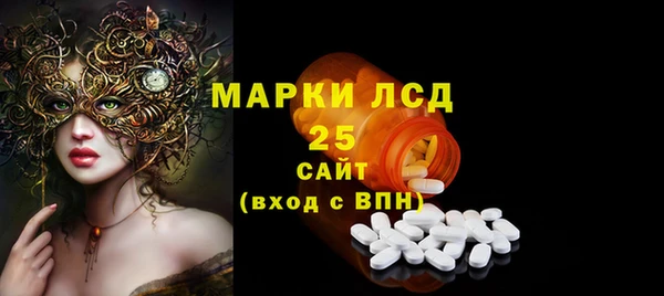 винт Инсар