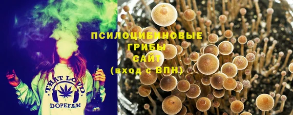 героин Карпинск