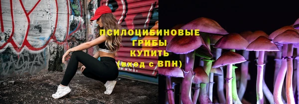 MDMA Premium VHQ Каменногорск