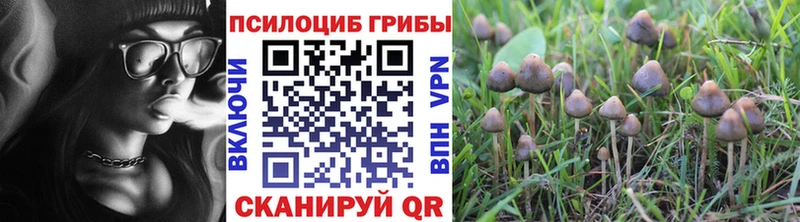 Галлюциногенные грибы GOLDEN TEACHER  где найти   Светогорск 
