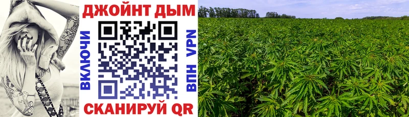 Бошки марихуана OG Kush  гидра ссылка  Светогорск  где купить наркоту 
